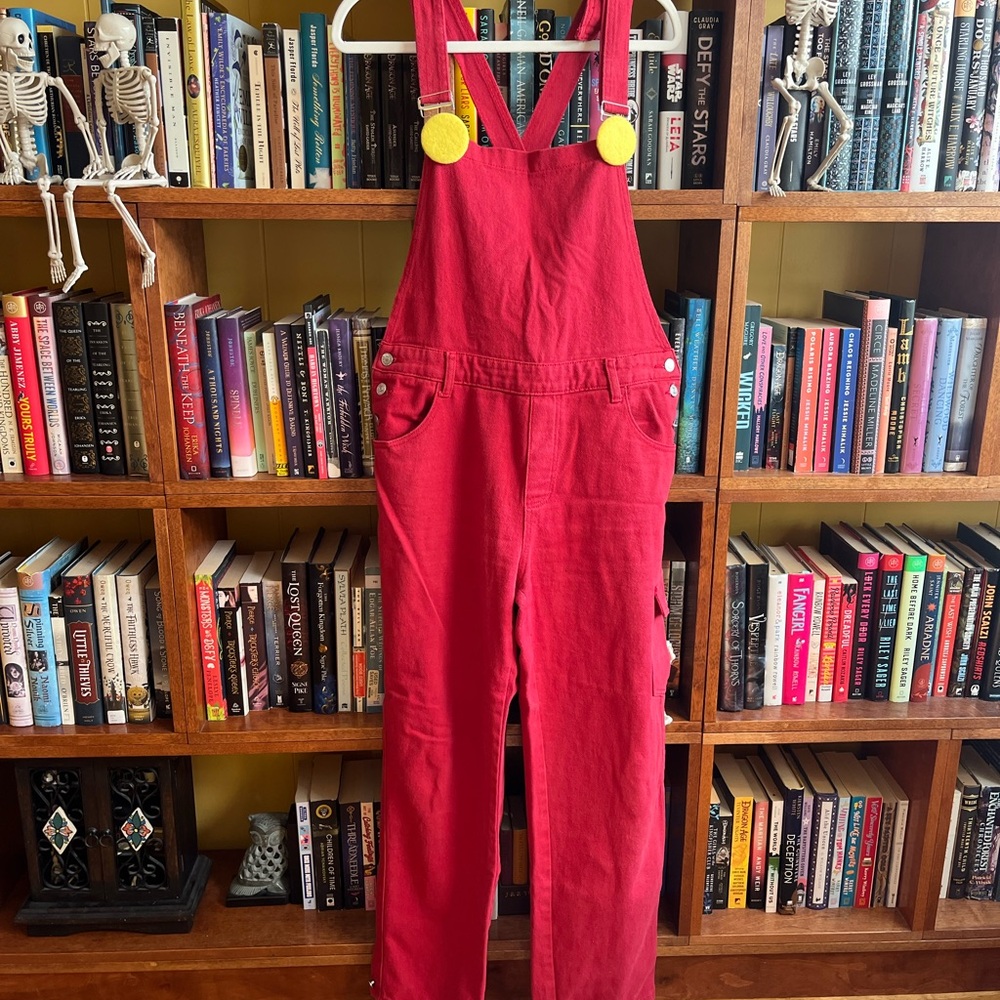 Super Mario Brothers Costume